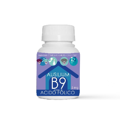 AUSILIUM-B9-VET.jpg
