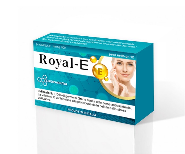 IMG-20201215-WA0042-1